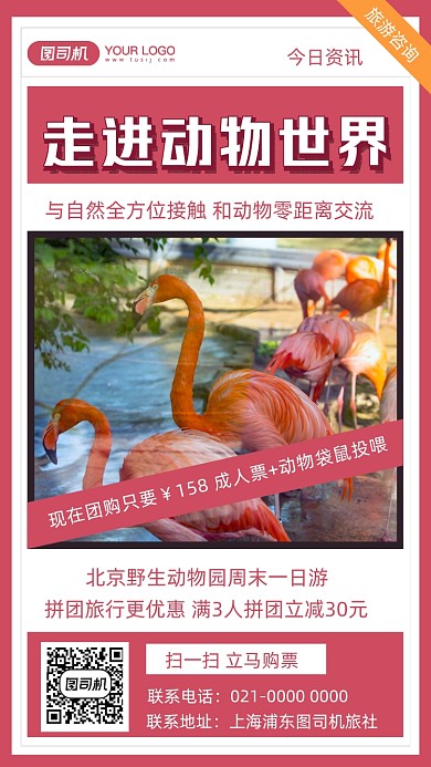 动物园周末游摄影图手机海报
