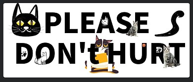 纯色保护猫流浪动物新媒体首图