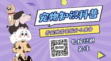 宠物知识科普可爱插画长形二维码