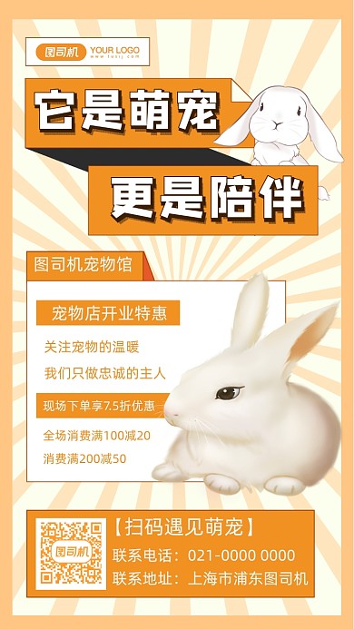 宠物兔子宠物宣传插画手机海报