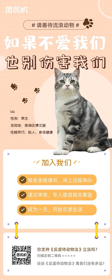 关爱流浪动物志愿活动手机长图海报