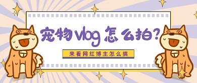 宠物vlog怎么拍公众号首图