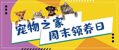 宠物之家周末领养日公众号首图