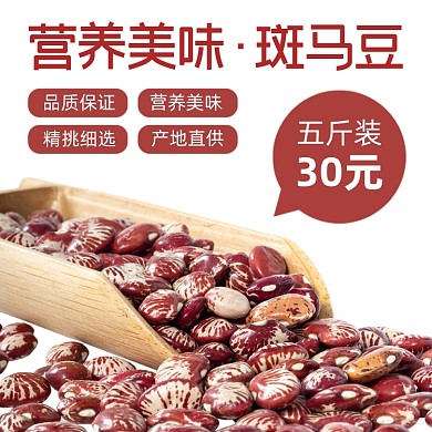 农产品五谷主图直通车