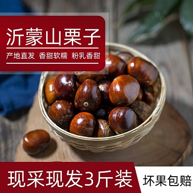 栗子板栗食品淘宝主图直通车模板