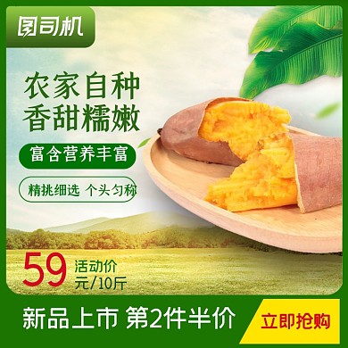 食品红薯马铃薯地瓜主图