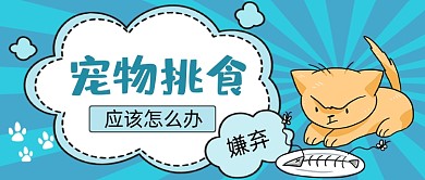 宠物攻略手绘卡通公众号首图