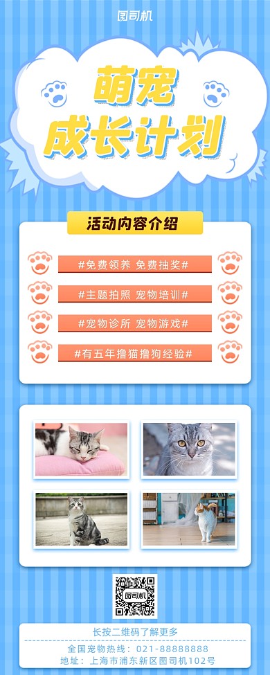 宠物店宣传小清新手机海报