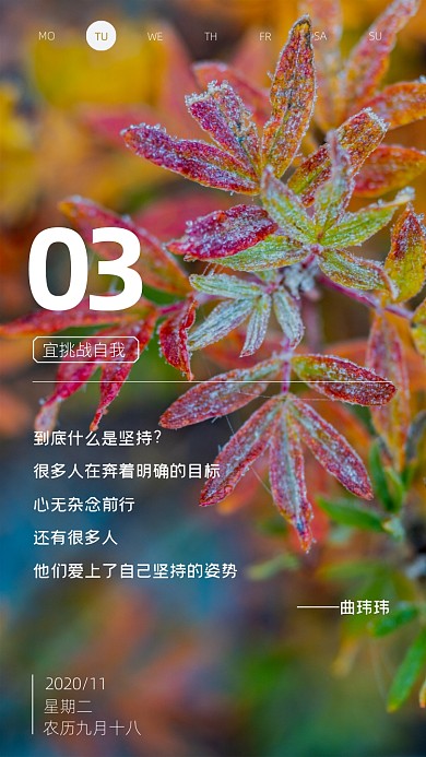 枫叶霜花摄影日签手机海报