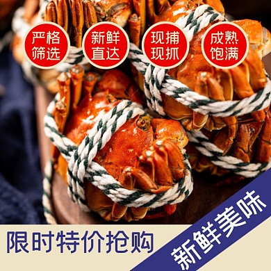 螃蟹海鲜食品淘宝主图直通车模板