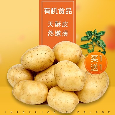 食品土特产土豆马铃薯主图