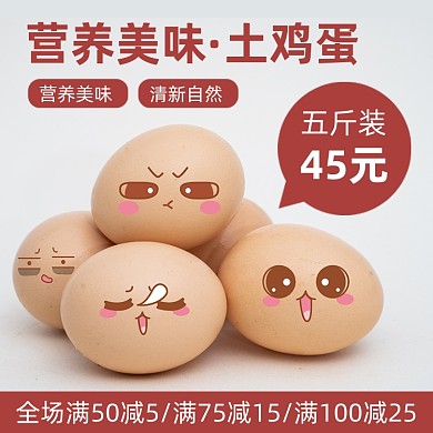 农产品土鸡蛋主图直通车