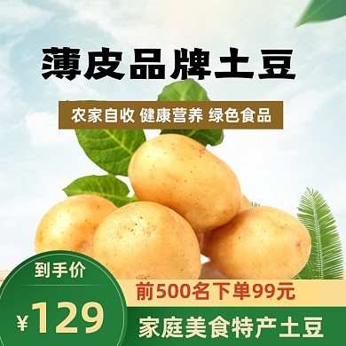食品土特产土豆马铃薯主图