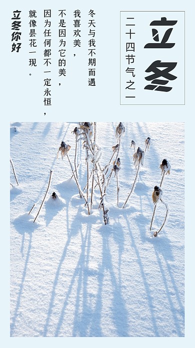 简约雪景冬至节气文章配图