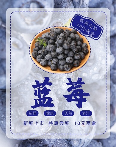 新品蓝莓水果特惠尝鲜海报
