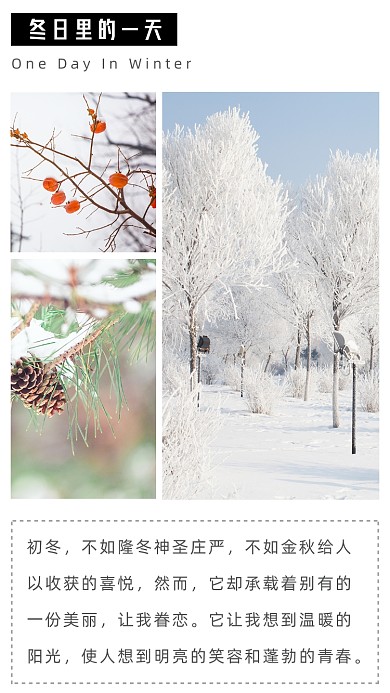 简约初冬文章配图