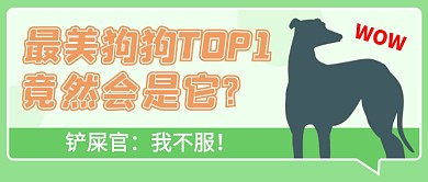 最美狗狗排行榜公众号首图