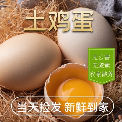 鸡蛋食品农副产品直通车模板
