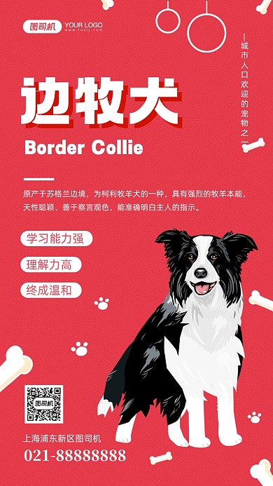 边牧犬宠物手绘卡通手机海报