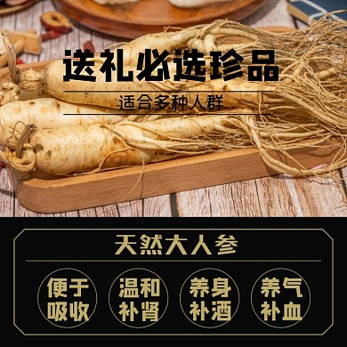 食品人参补品淘宝主图直通车模板