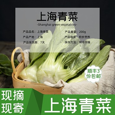 青菜蔬菜食品淘宝主图直通车模板