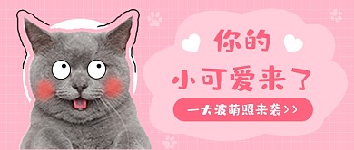 萌宠宠物店可爱公众号首图