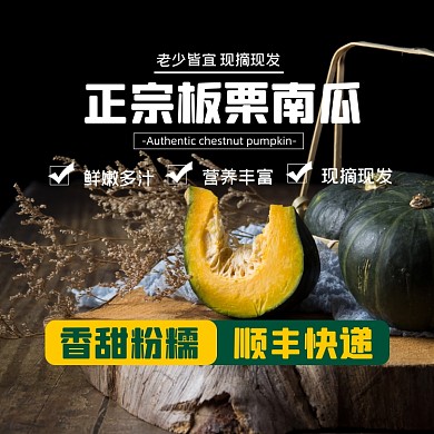 南瓜食品淘宝主图直通车模板