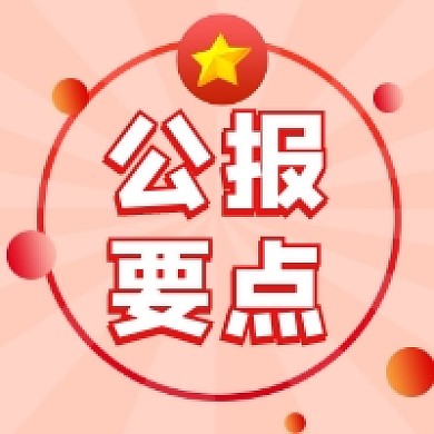 公报要点大气简约公众号次图