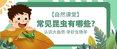 自然课堂昆虫生物公众号首图