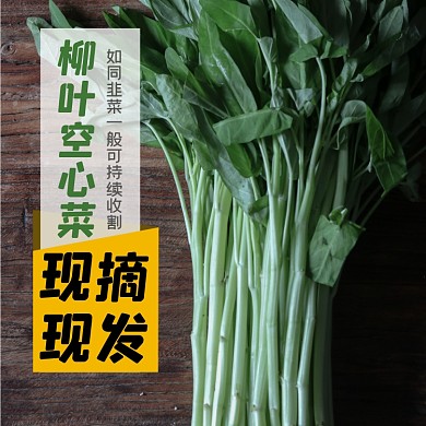 空心菜蔬菜食品淘宝主图直通车模板