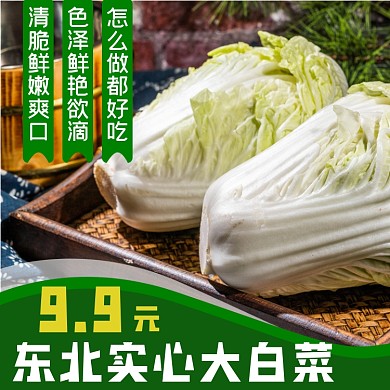 白菜蔬菜食品淘宝主图直通车模板