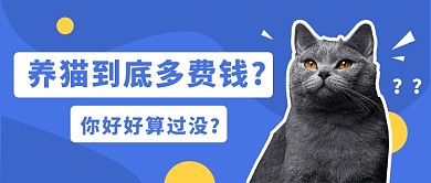 卡通趣味宠物猫咪话题公众号首图