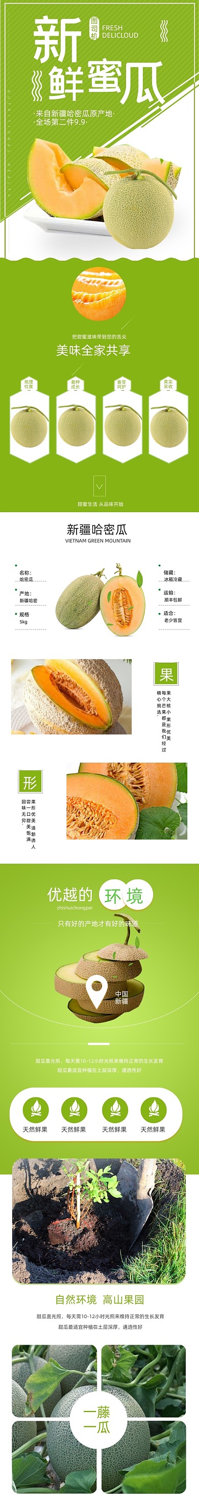 生鲜食品甜瓜哈密瓜水果详情页