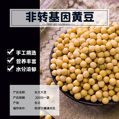 黄豆食品淘宝主图直通车模板