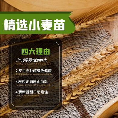 小麦食品淘宝主图直通车模板