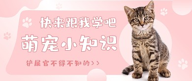萌宠小知识可爱公众号首图