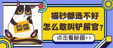 宠物话题铲屎官选猫砂公众号首图