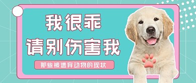 宠物关爱动物保护公众号首图