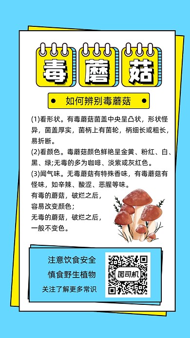毒蘑菇辨别宣传手机海报