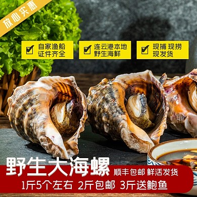 食品海鲜类海螺主图直通车生鲜模板