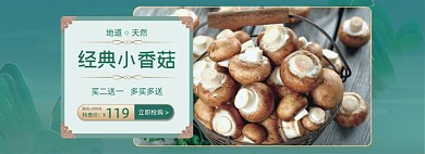 清新香菇蘑菇野生蔬菜海报