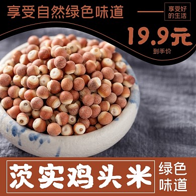 芡实补品药材食品淘宝主图直通车模板