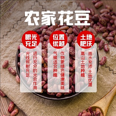 豆子花豆农产品食品淘宝主图直通车模板