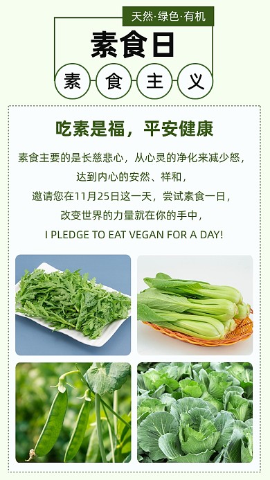 绿色简约国际素食日文章配图