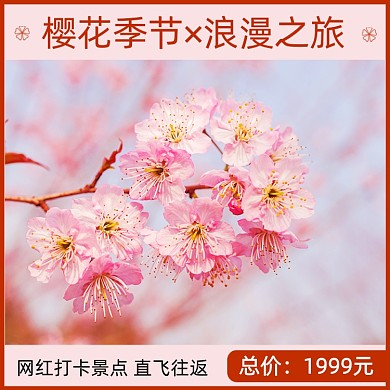 旅游网红打卡景点樱花简约促销主图
