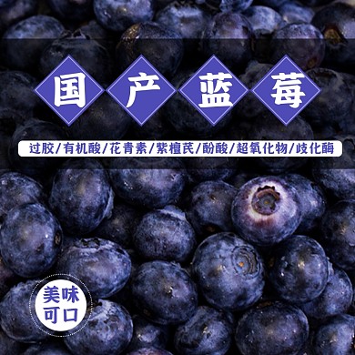 蓝莓水果食品淘宝主图直通车模板