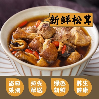 松茸药材补品食品淘宝主图直通车模板