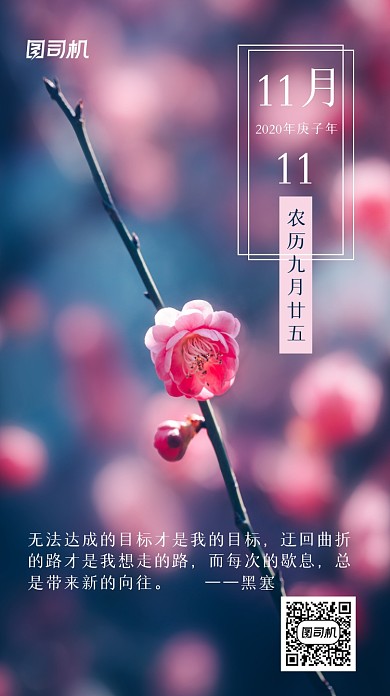 日签心情梅花手机海报