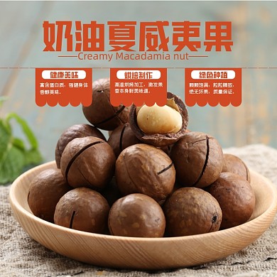 夏威夷果坚果食品淘宝主图直通车模板