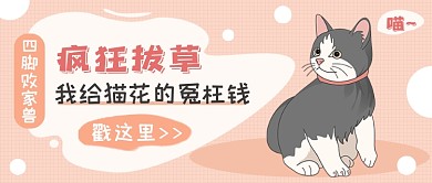 宠物我给猫花的冤枉钱公众号首图